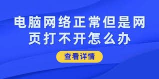 網(wǎng)絡(luò)正常卻無法打開網(wǎng)頁 網(wǎng)絡(luò)與信息安全軟件開發(fā)的重要性